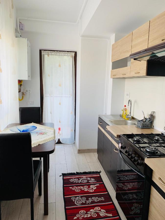 Bridge Tower Residence Iasi Extérieur photo